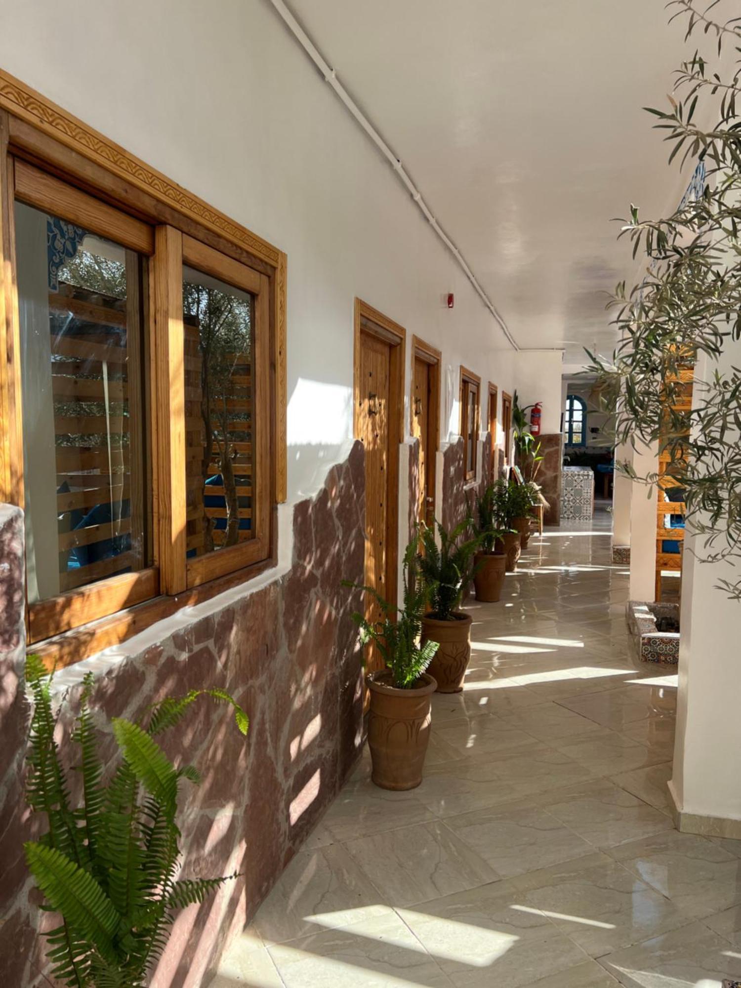 Single Fin Taghazout Surf & Stay Bagian luar foto