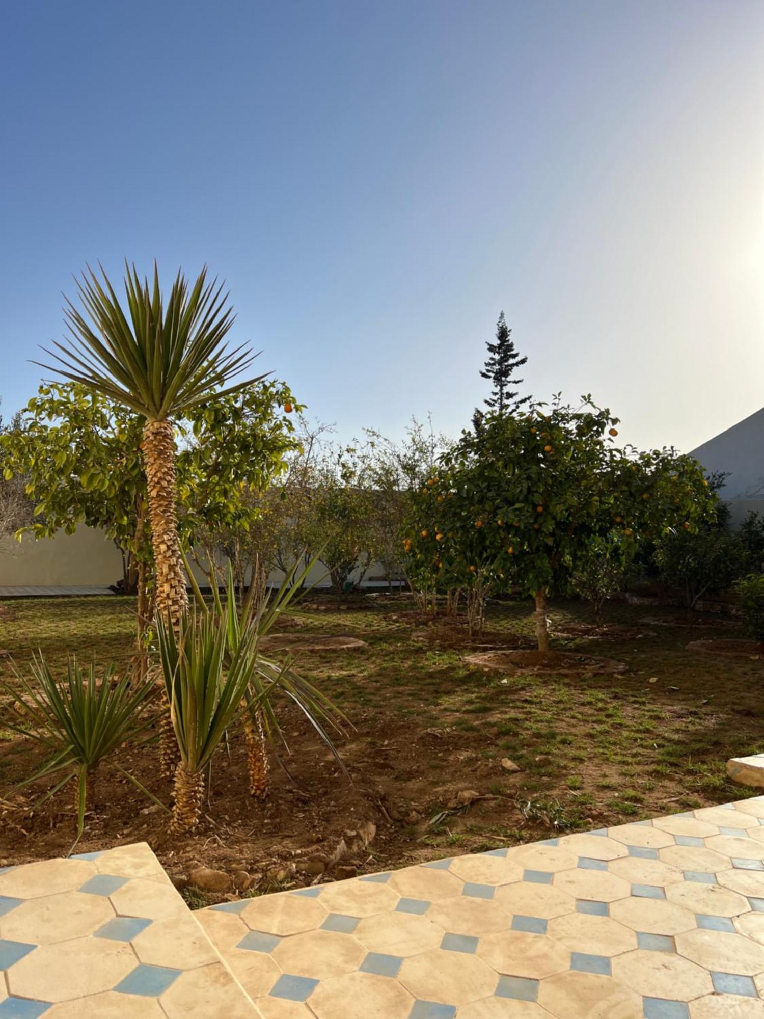 Single Fin Taghazout Surf & Stay Bagian luar foto